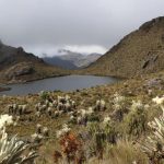 Tribunal finaliza caso contra Colombia por minería en el páramo de Santurbán