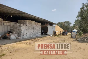 UNAL propone cementos no convencionales a partir de la cascarilla de arroz para mejorar vías terciarias en los Llanos