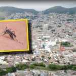 “Yumbeños, no maten mosquitos”, el curioso llamamiento del Ministerio de Salud;  Ellos explicaron por qué