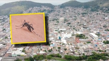 “Yumbeños, no maten mosquitos”, el curioso llamamiento del Ministerio de Salud;  Ellos explicaron por qué