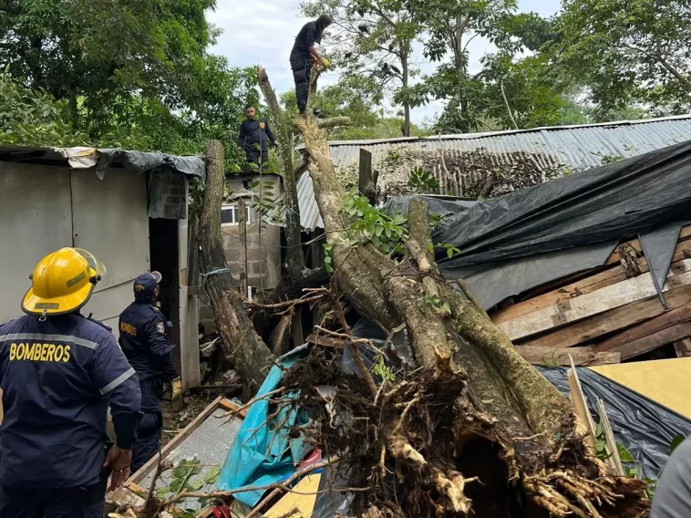 Alcaldía entrega elementos de autoconstrucción a familias afectadas por lluvias en Montería