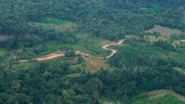 Autoridades de Nariño identifican ruta para conexión terrestre Santa Bárbara de Iscuandé – Guapi (Cauca)