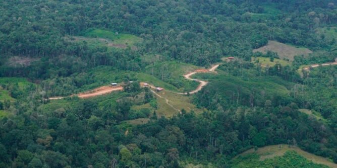 Autoridades de Nariño identifican ruta para conexión terrestre Santa Bárbara de Iscuandé – Guapi (Cauca)