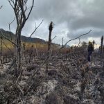 Bomberos de Manizales controlan incendio en el Páramo de Letras