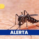 Caldas extiende alerta por dengue: Comunidades en alerta máxima