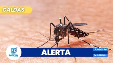 Caldas extiende alerta por dengue: Comunidades en alerta máxima