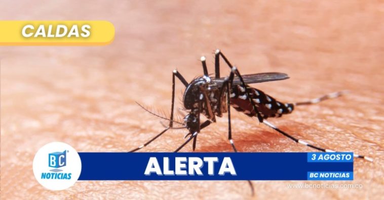 Caldas extiende alerta por dengue: Comunidades en alerta máxima