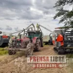 Casanare sembró en el primer semestre de este año 22.472 hectáreas más de arroz que el año pasado