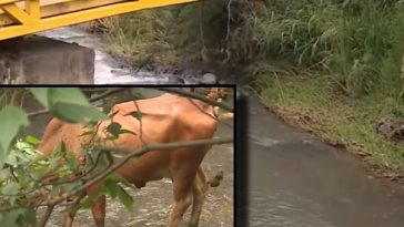 Continúan denunciando “abandono y contaminación descontrolada” del río Aguacatal en Cali