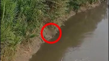 Del cuerpo en bolsas en Llano Verde al encontrado a orillas del río Cauca cerca de Yumbo