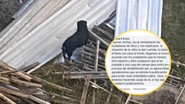 Destino que tendrá Zeus lo pondrá a mover la cola; le encontraron hogar