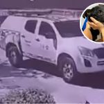 'Negrita', canina atropellada por una camioneta de contratista de empresa de energía.