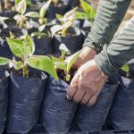 El Huila en búsqueda de modelos de agricultura limpia.