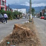 En La Pradera estrenarán separador