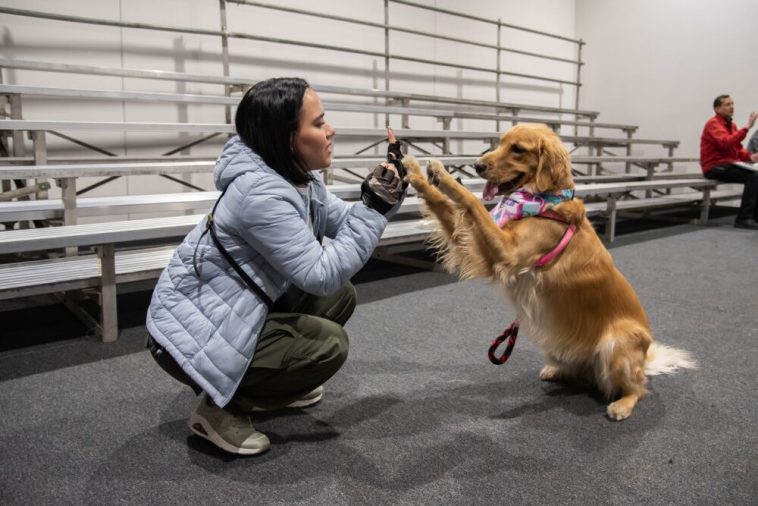 Expopet 2024: Un Escenario Para Celebrar El Talento Y La Lealtad Canina