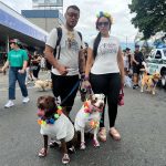 Desfile de Mascotas - Feria de las Flores