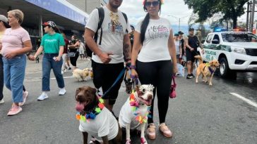 Desfile de Mascotas - Feria de las Flores