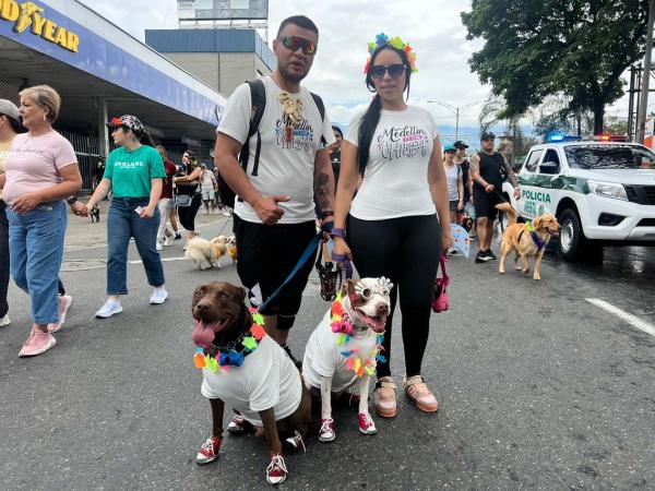 Desfile de Mascotas - Feria de las Flores