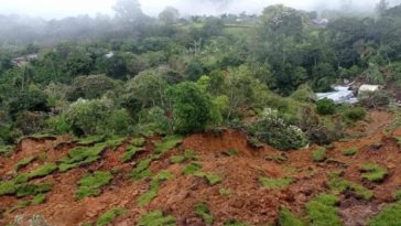 Deslizamiento en Rosas Cauca en vía Panamericana