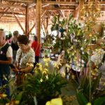 Las Fiestas de la Cosecha florecen como orquídeas