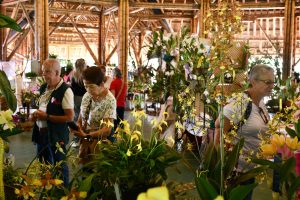 Las Fiestas de la Cosecha florecen como orquídeas