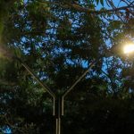 Llegó la transformación con nuevas luminarias al barrio República de Panamá