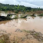 Municipios en la zona sur del Huila afectados por invierno.