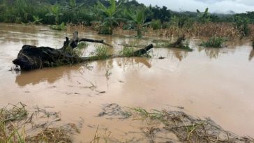 Municipios en la zona sur del Huila afectados por invierno.