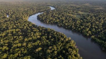 Amazonas