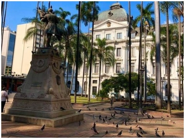 ¿Qué hay que hacer en Cali este fin de semana?  uno de los planes es para amantes de los libros