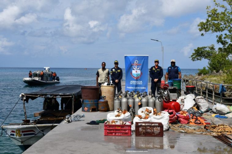 49 personas fueron sorprendidas por la Armada Nacional haciendo pesca ilegal