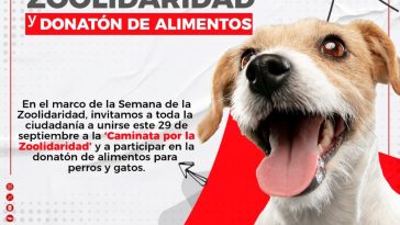 ALCALDÍA DE CÚCUTA CELEBRARÁ LA SEMANA DE LA ‘ZOOLIDARIDAD, PROTECCIÓN Y BIENESTAR ANIMAL’