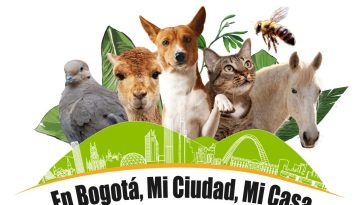 Bogotá se prepara para la semana de Protección y Bienestar Animal: habrá más de 40 actividades Con más de 40 actividades virtuales y presenciales, este evento busca sensibilizar a la ciudadanía sobre la importancia de cuidar y proteger a nuestros animales.