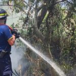 bomberos ayudan