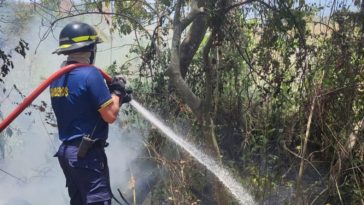 bomberos ayudan