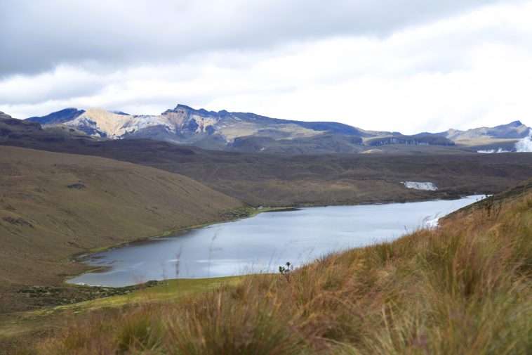 CARDER celebra la no compra de tierras en el Parque Nacional Natural Los Nevados