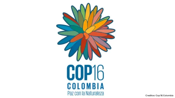 COP16: El evento global sobre biodiversidad que se llevará a cabo en Colombia