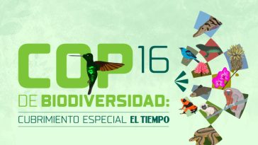 COP16: ¿Qué es, por qué es importante y qué le deja a Colombia la Cumbre de Biodiversidad?