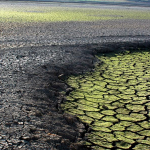 Cambio climático