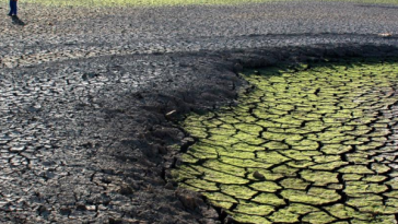 Cambio climático