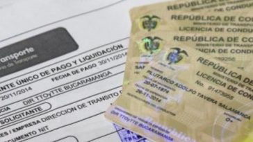 Licencias de conducción