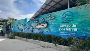 Centro de Vida Marina: un lugar donde puedes disfrutar en familia mientras aprendes  