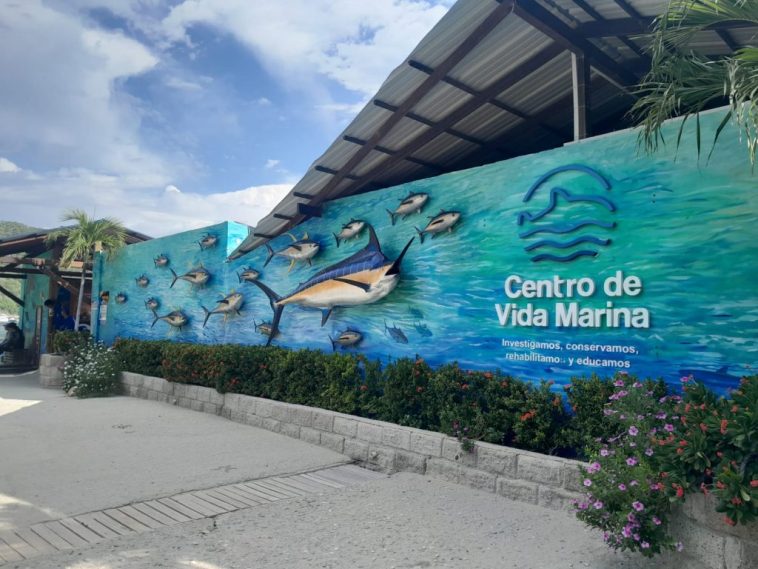 Centro de Vida Marina: un lugar donde puedes disfrutar en familia mientras aprendes  