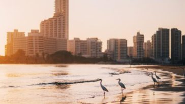 playa colombiana