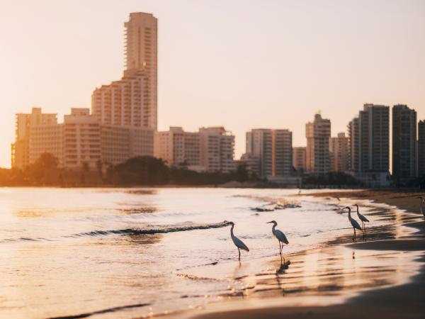 playa colombiana