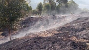 Cuatro municipios en el Huila, continúan con incendios forestales.