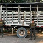 Denuncian aumento de abigeato en Codazzi