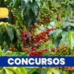 En Caldas comenzó el calendario de concursos de café de alta calidad