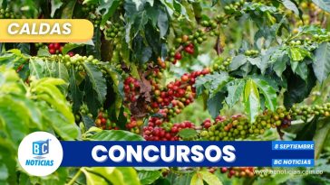 En Caldas comenzó el calendario de concursos de café de alta calidad