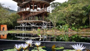 Este es el lugar donde Colombia cuida su ‘oro verde’